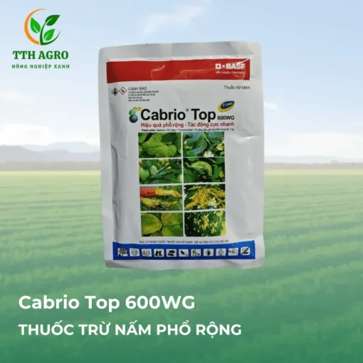 Cabrio Top 600WG Thuốc Trừ Nấm Bệnh Phổ Rộng