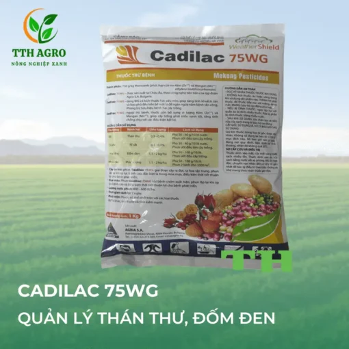 Cadilac 75WG Trừ Bệnh Cây Trồng