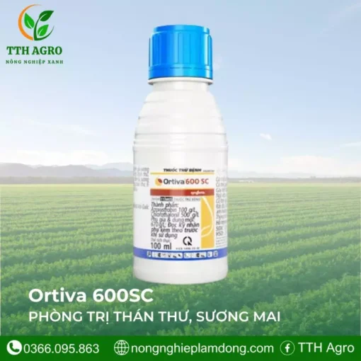 Ortiva 600SC-syngenta-tthagro-nongnghieplamdong