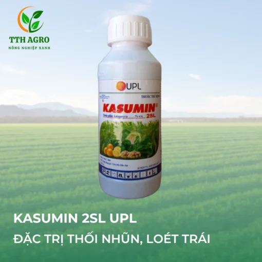 thuoc-tru-benh-KASUMIN-2SL