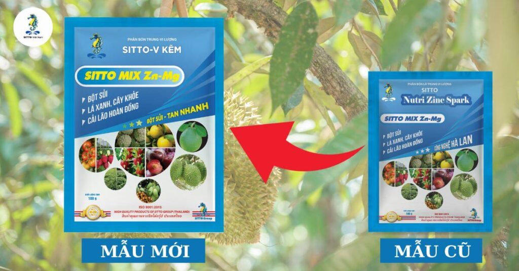 mau-moi-sitto-mg-zn-sieu-kem