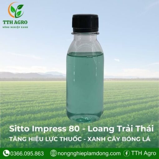sitto-tincture-bioclean-impress-80-loang-trai-thai-lan-100ml