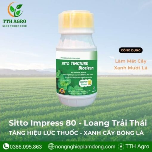 sitto-tincture-bioclean-impress-80-loang-trai-thai-lan-bam-dinh