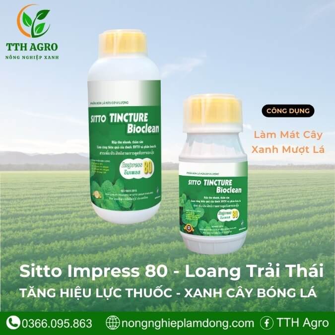 sitto-tincture-bioclean-impress-80-loang-trai-thai-lan