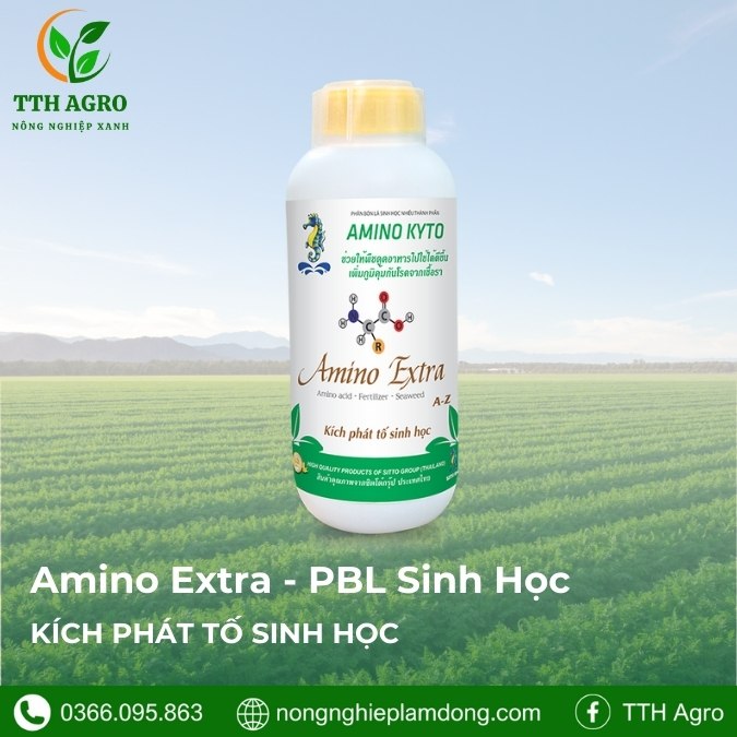 SITTO Amino Kyto là dòng dinh dưỡng hữu cơ sinh học bổ sung Amino Acid, trung vi lượng và hữu cơ giúp cây phục hồi nhanh, tăng sinh trưởng và nâng cao chất lượng nông sản