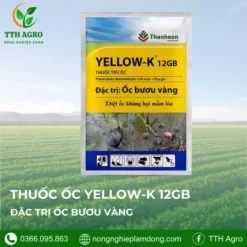 thanh-son-thhuoc-dac-tri-oc-buou-vang-yellow-k-12gb-1kg