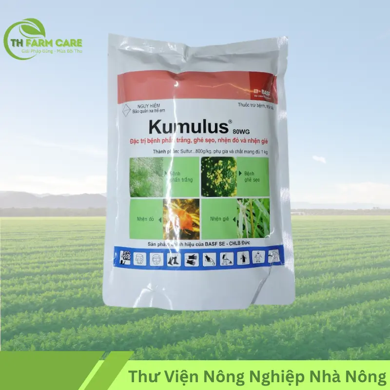 Kumulus 80WG Đặc Trị Nấm Bệnh, Nhện Đỏ Gói 1kg TTH Agro Kumulus 80WG Vua nhện đỏ-TH FARM CARE