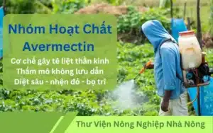 Avermectin-la-gi-Nhom-hoat-chat-sinh-hoc-hieu-qua-trong-thuoc-bao-ve-thuc-vat-hien-dai-TH-FARM-CARE