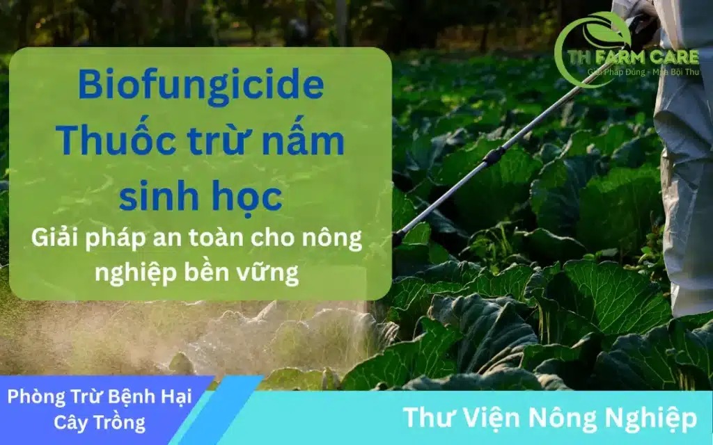 Biofungicide-Thuoc-tru-nam-sinh-hoc