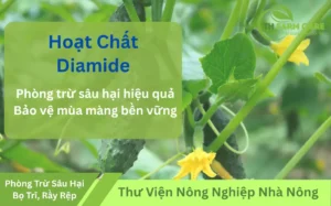 Hoat-Chat-Diamide-Vu-Khi-Moi-Trong-Phong-Tru-Sau-Hai-Hieu-Qua