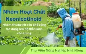 Nhóm Hoạt Chất Neonicotinoids- TH FARM CARE thư viện nông nghiệp