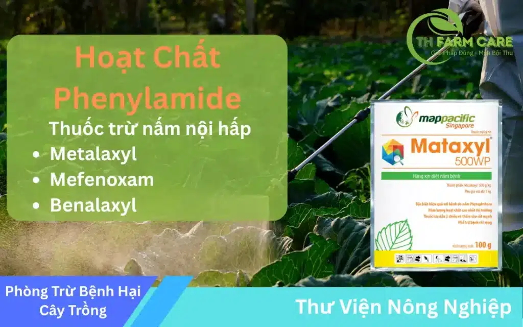 Nhom-Hoat-Chat-Phenylamide-Giai-Phap-Phong-Tru-Nam-Hieu-Qua-Trong-Nong-Nghiep