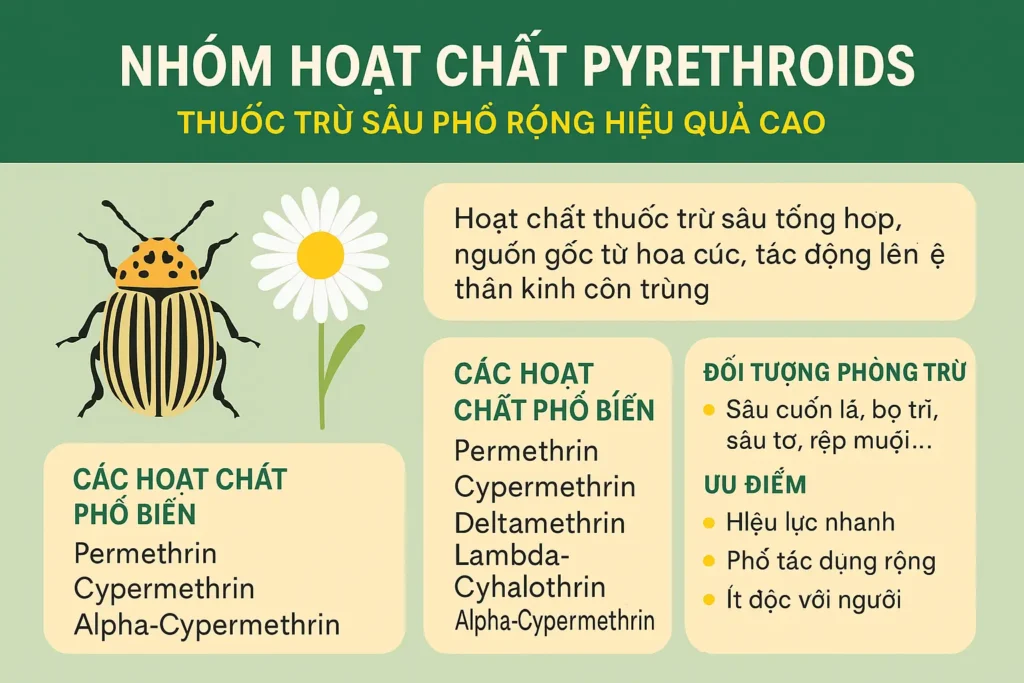 Nhóm Hoạt Chất Pyrethroids Cúc Tổng Hợp – Thuốc Trừ Sâu Hiệu Quả Cao ...