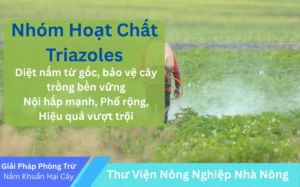 Nhom-Hoat-Chat-Triazoles-Giai-Phap-Noi-Hap-Hieu-Qua-Trong-Phong-Tru-Benh-Nam-Cay-Trong-TH-FARM-CARE