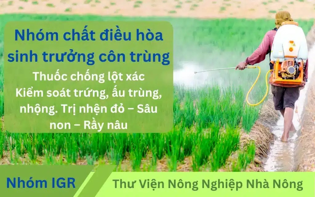 Nhom-hoat-chat-IGR-chat-dieu-hoa-sinh-truong-con-trung-th-farm-care