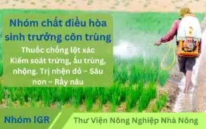 Nhom-hoat-chat-IGR-chat-dieu-hoa-sinh-truong-con-trung-th-farm-care