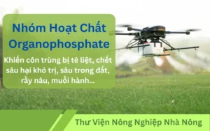 Nhom-hoat-chat-Organophosphate-trong-thuoc-bao-ve-thuc-vat-Hieu-qua-va-nhung-dieu-can-biet-thfarm-care