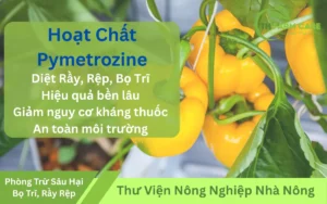 Hoat-chat-Pymetrozine-Giai-Phap-Vang-Diet-Ray-Rep-Bo-Tri-Hieu-Qua-TH-FARM-CARE