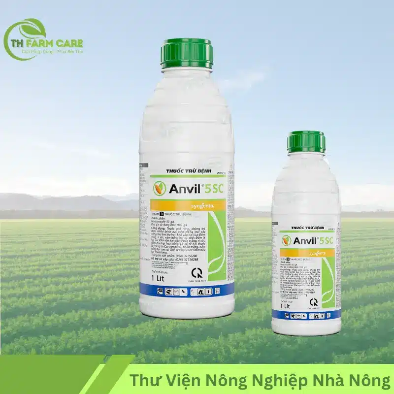 Hoạt Chất Hexaconazole – Công Dụng, Cơ Chế Tác Động & Hướng Dẫn Sử Dụng Hiệu Quả TTH Agro Anvil 5SC – Syngenta
