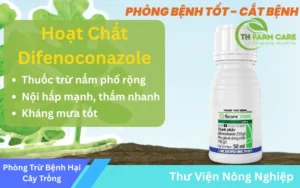 Hoat-Chat-Difenoconazole-Giai-Phap-Toan-Dien-Phong-Tru-Nam-Benh-Cho-Cay-Trong