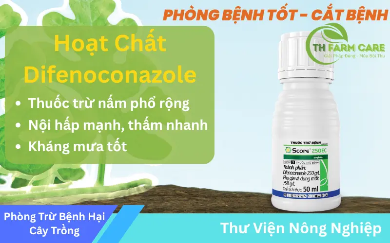 Hoat-Chat-Difenoconazole-Giai-Phap-Toan-Dien-Phong-Tru-Nam-Benh-Cho-Cay-Trong