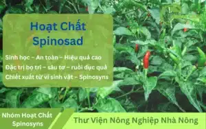 Hoạt chất Spinosad là gì Nguồn gốc và đặc điểm