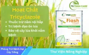 Hoat-chat-Tricyclazole-Giai-phap-uu-viet-phong-tri-benh-dao-on-tren-cay-lua