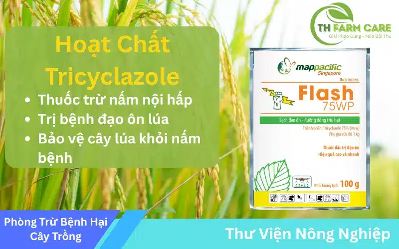 Hoat-chat-Tricyclazole-Giai-phap-uu-viet-phong-tri-benh-dao-on-tren-cay-lua