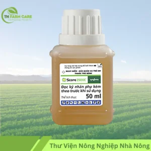 Hoạt Chất Difenoconazole: Công Dụng, Cách Dùng & Hướng Dẫn An Toàn Cho Cây Trồng TTH Agro Score-250EC-50ml-Thuoc-Dac-Tri-Benh-Phan-Trang-Moc-Suon