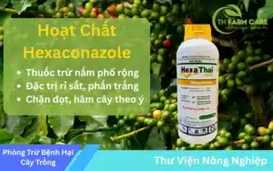 TH-FARM-CARE-Hoat-Chat-Hexaconazole-Giai-Phap-Toan-Dien-Phong-Tru-Nam-Benh-va-Chan-Dot-Cho-Cay-Trong