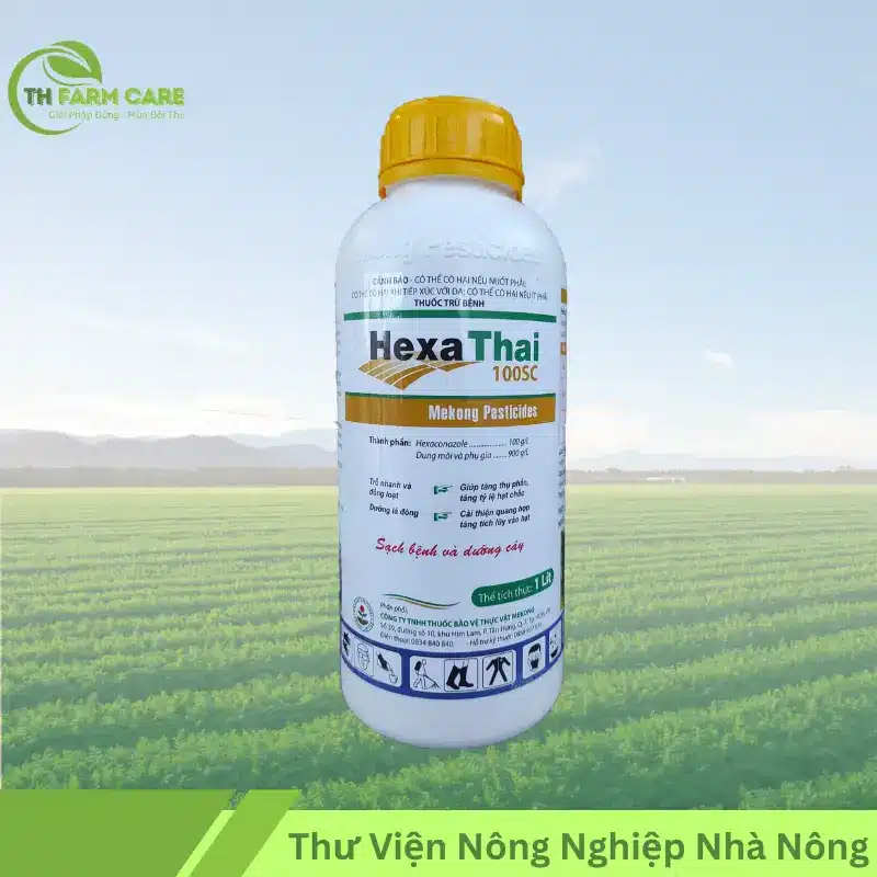 Hoạt Chất Hexaconazole – Công Dụng, Cơ Chế Tác Động & Hướng Dẫn Sử Dụng Hiệu Quả TTH Agro hexathai-100sc-mekong-pesticide