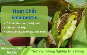 hoat-chat-emamectin-benzoate-tru-Sau-cuon-la-sau-to-sau-duc-than