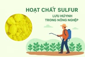 Hoat-chat-Sulfur-Luu-huynh-Thuoc-Tru-Nam-Va-Nhen-Hieu-Qua-Trong-Nong-Nghiep