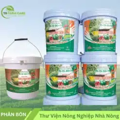 Phan-bon-NPK-SITTO-FOMIC-15-15-30TE-Water-Soluble-100-Kali-SOP-Khong-Clo-Duong-Bong-thuc-to-trai