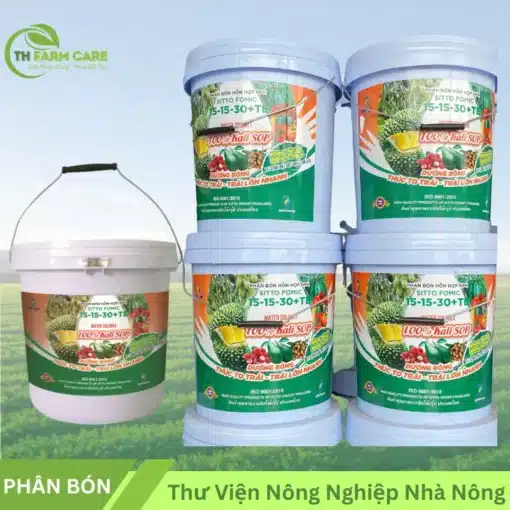 Phan-bon-NPK-SITTO-FOMIC-15-15-30TE-Water-Soluble-100-Kali-SOP-Khong-Clo-Duong-Bong-thuc-to-trai