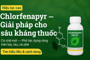 Hoat-chat-Chlorfenapyr-Co-che-Cong-dung-Huong-dan-su-dung