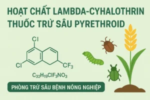 Hoạt chất Lambda-cyhalothrin - Gốc thuốc mạnh trong phòng trừ sâu chích hút, rầy rệp và bọ trĩ