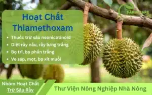 Hoat-chat-Thiamethoxam-Thuoc-tru-sau-noi-hap-hieu-qua-cho-Nong-Nghiep-Lam-Dong