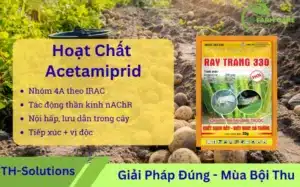 Acetamiprid-la-gi-Cong-dung-co-che-va-san-pham-thuoc-BVTV-tai-Viet-Nam