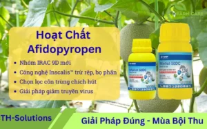Afidopyropen-la-gi-Hoat-chat-pyropene-nhom-9D-tru-rep-bo-phan-va-con-trung-chich-hut