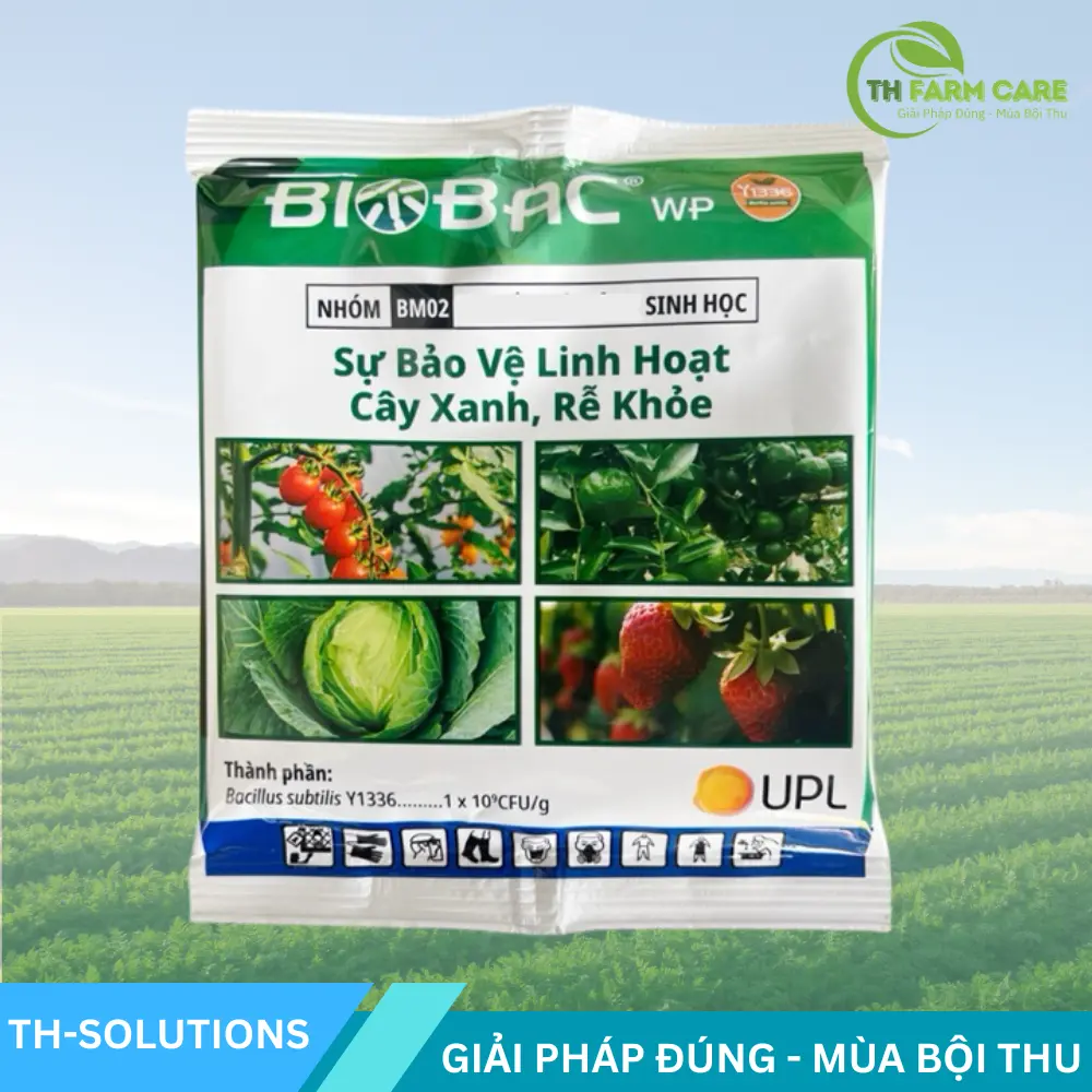 BIOBAC 50WP – Thuốc trừ bệnh sinh học UPL | Trị thối rễ – sạch nấm đất TTH Agro BIOBAC-50WP-Thuoc-tru-benh-sinh-hoc-UPL-Tri-thoi-re-sach-nam-dat