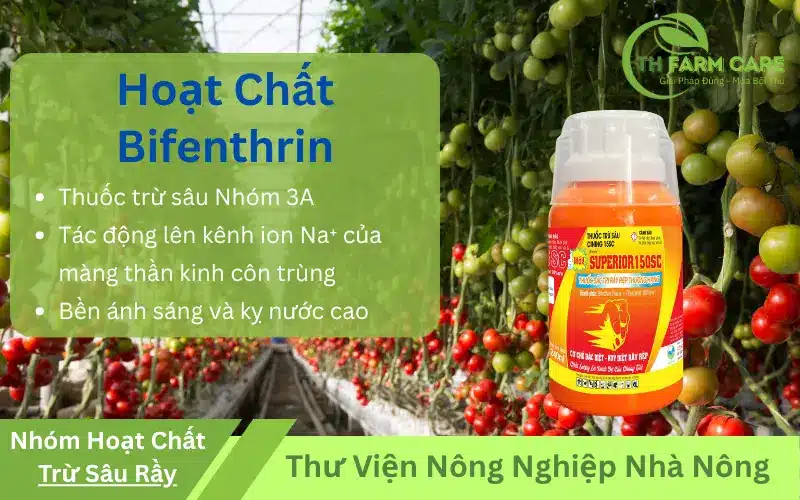 Bifenthrin - Hoạt chất thuốc trừ sâu phổ rộng và ứng dụng thực tiễn TTH Agro Bifenthrin-Hoat-chat-thuoc-tru-sau-pho-rong