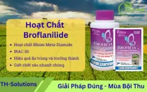 Broflanilide-la-gi-Hoat-chat-meta-diamide-IRAC-30-tac-dong-GABA-Cl⁻-trong-thuoc-tru-sau