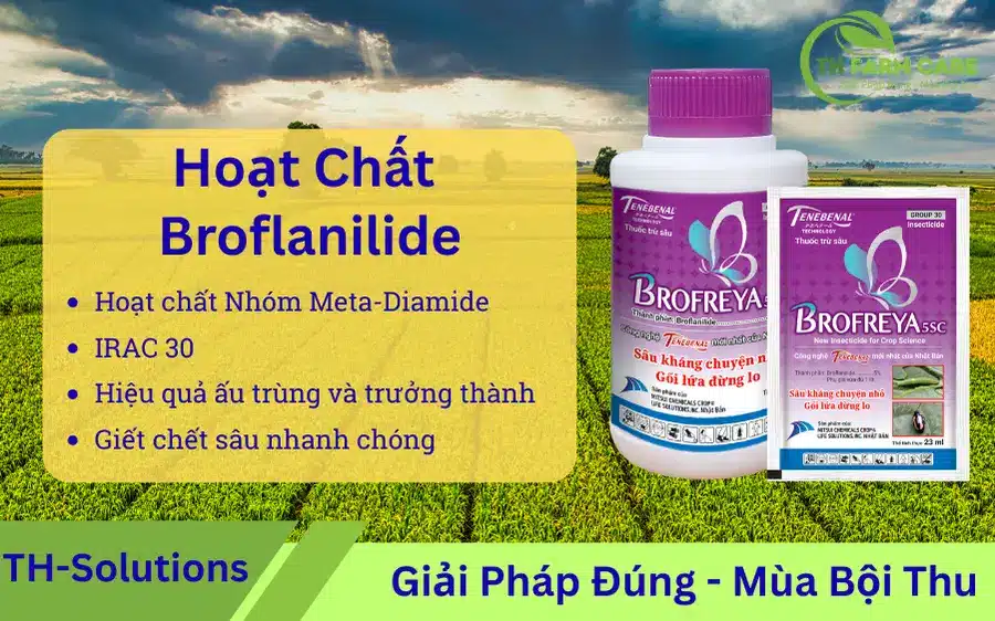 Broflanilide-la-gi-Hoat-chat-meta-diamide-IRAC-30-tac-dong-GABA-Cl⁻-trong-thuoc-tru-sau