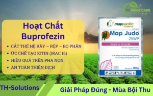 hoat-chat-Buprofezin-thuoc-dieu-hoa-sinh-truong-con-trung-uc-che-tao-kitin-IRAC-Nhom-16-chien-luoc-cat-the-he-ray-rep-bo-phan