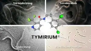 Cong-nghe-TYMIRIUM™-la-buoc-tien-moi-trong-quan-ly-tuyen-trung-duoc-Syngenta-phat-trien-dua-tren-co-che-luu-ton-vung-re