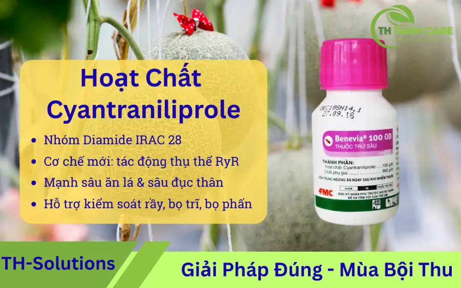 Cyantraniliprole-la-gi-Hoat-chat-diamide-IRAC-28-tru-sau-manh