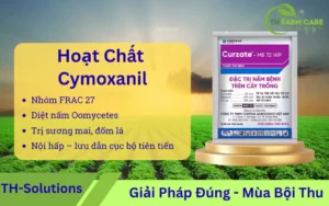 Cymoxanil-la-hoat-chat-tru-nam-noi-hap-–-luu-dan-cuc-bo-tien-tien-co-tac-dung-phong-va-tri-benh-suong-mai-ua-muon-dom-la-cuc-hieu-qua