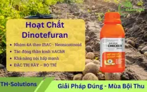 hoat-chat-Dinotefuran-la-gi-Co-che-cong-dung-va-cach-dung-trong-nong-nghiep