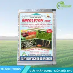 Encoleton-25WP-–-Dac-tri-ri-sat-ca-phe-thoi-goc-khoai-tay-Triadimefon-250gkg
